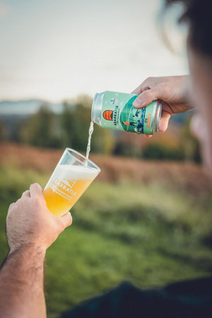 Bière IPA SANS ALCOOL ABARRATIA - canette 33cl x6