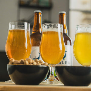 Bière IPA BIO BALEA Elkano 75cl - x3 - Edari Drinks