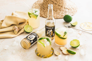 Ginger Beer GINGEUR Original BIO 33cl - x6 - Edari Drinks