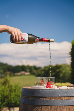 Sagardoa Vin de pomme BIO KUPELA 75cl - x3 - Edari Drinks