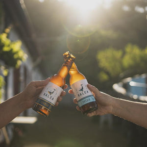 BALEA bière blonde BIO TERNUA 33cl - 3 bouteilles - [boisson_basque]