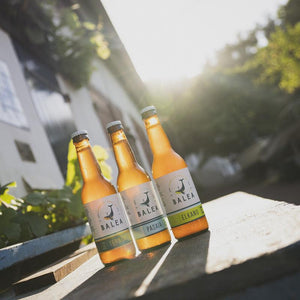 BALEA Pack découverte 33cl - [boisson_basque]